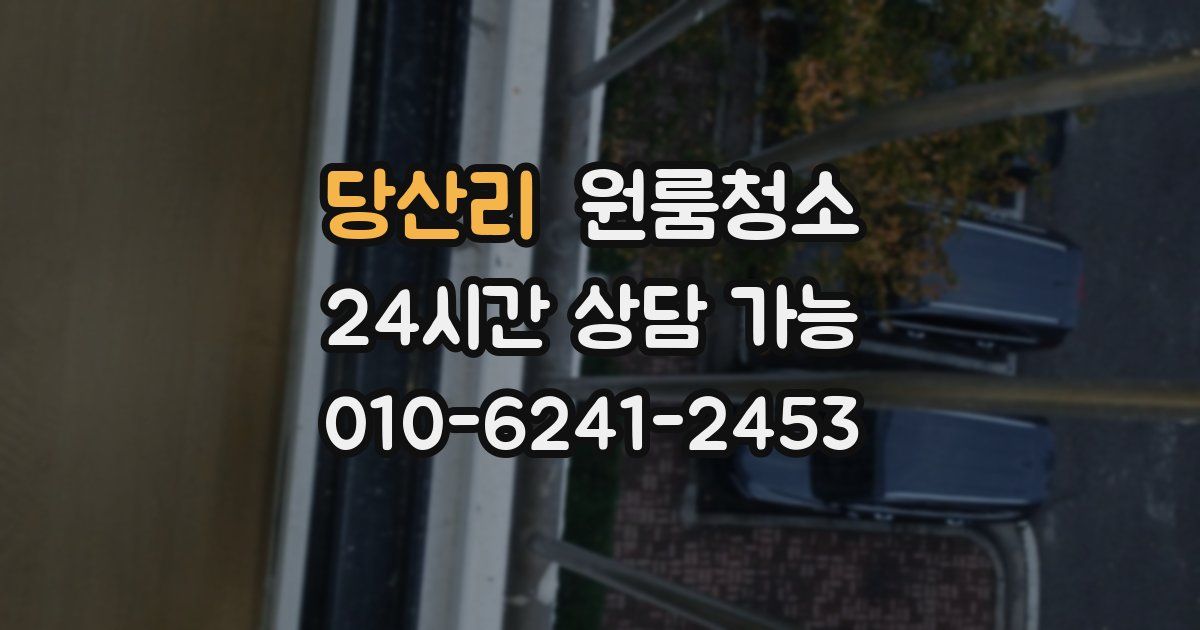 당산리 입주청소