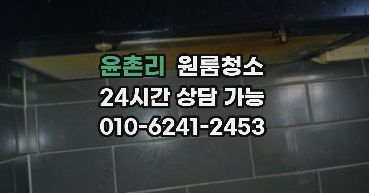 윤촌리 입주청소