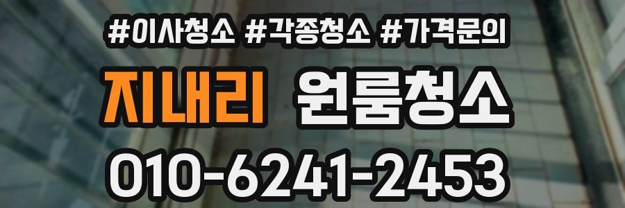 지내리 이사청소