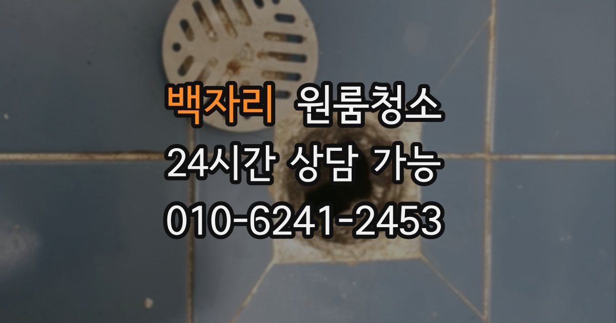 백자리 입주청소