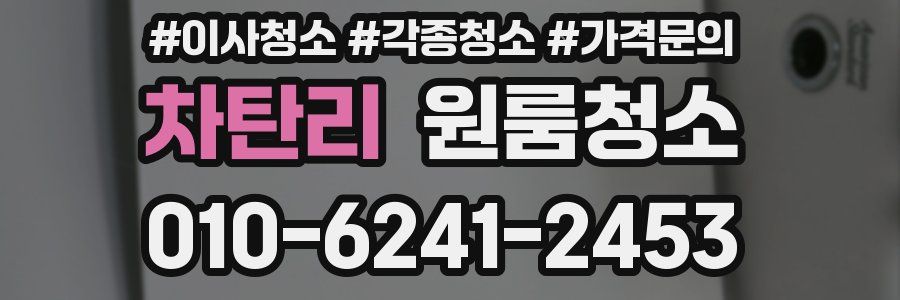 차탄리 이사청소