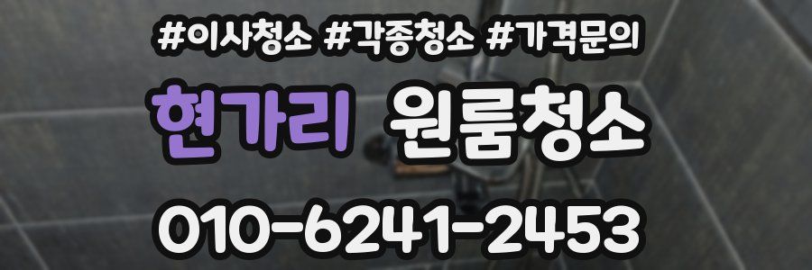 현가리 이사청소