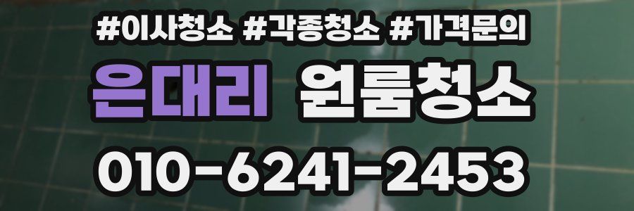 은대리 이사청소