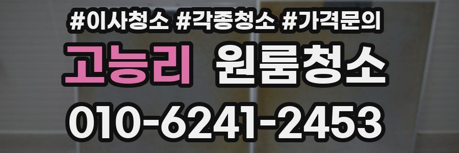 고능리 이사청소