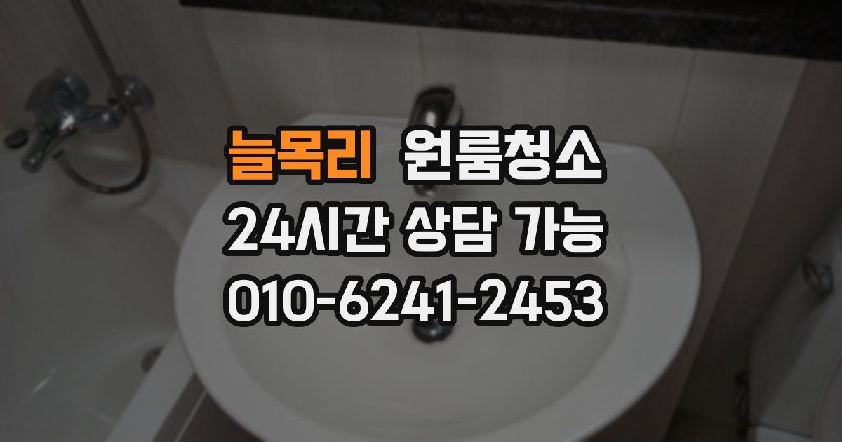 늘목리 입주청소