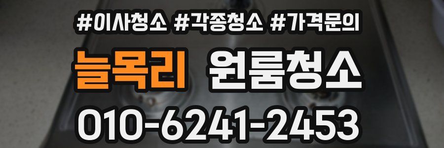 늘목리 이사청소