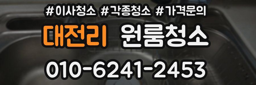 대전리 이사청소