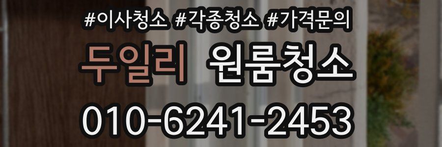 두일리 이사청소