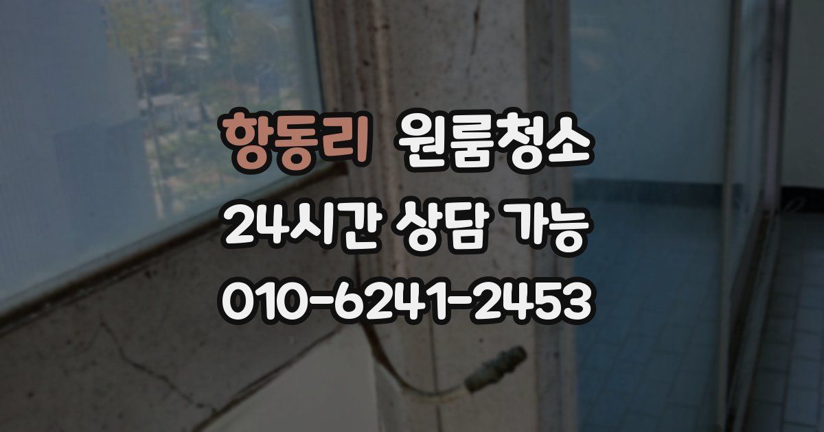 항동리 입주청소