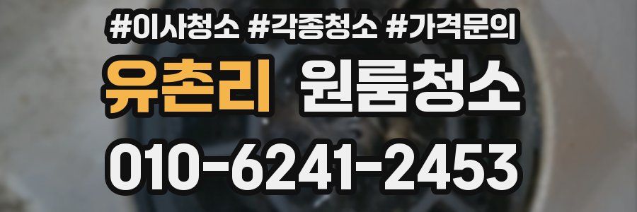 유촌리 이사청소