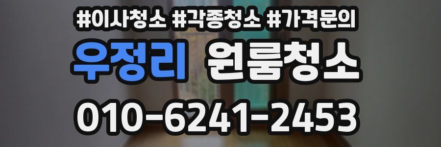 우정리 이사청소