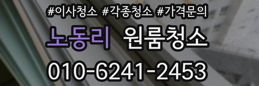 노동리 이사청소