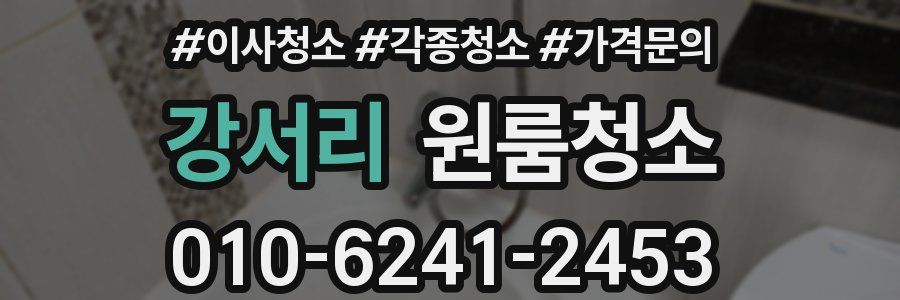 강서리 이사청소