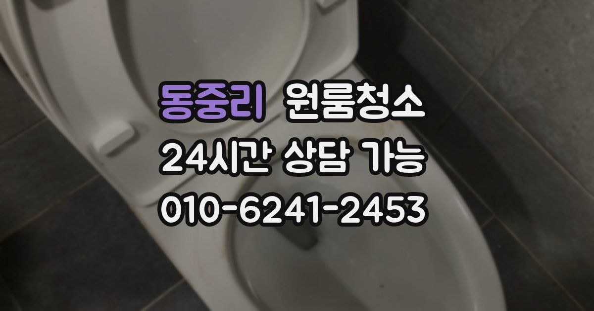 동중리 입주청소