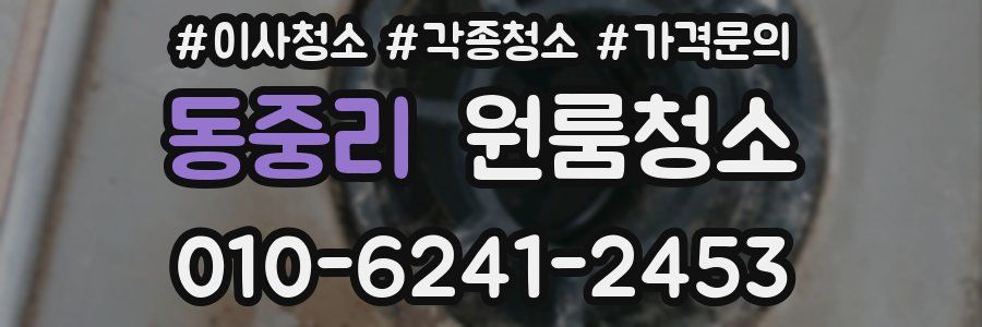 동중리 이사청소