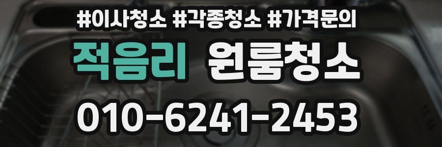 적음리 이사청소