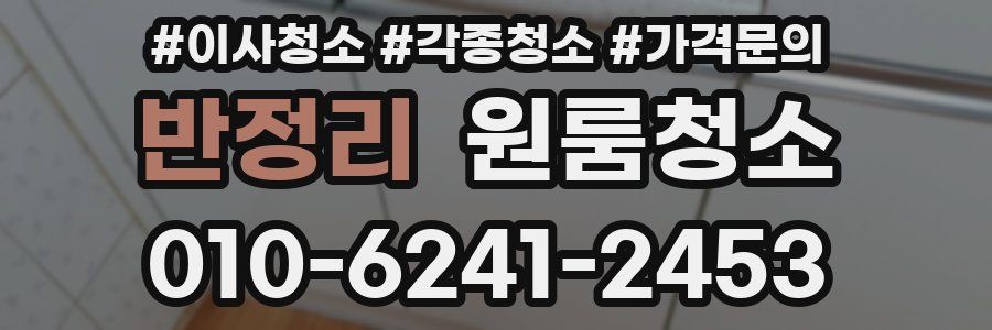 반정리 이사청소