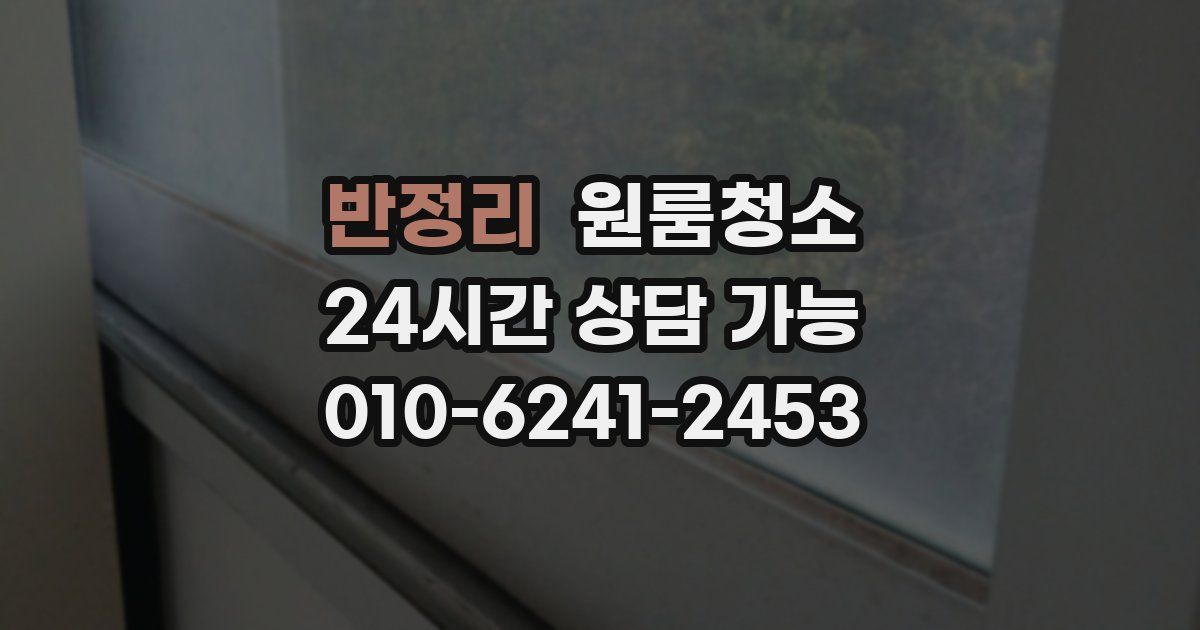 반정리 입주청소