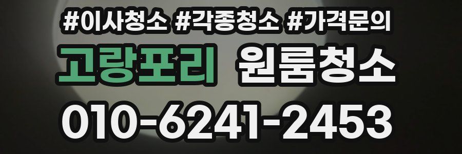고랑포리 이사청소