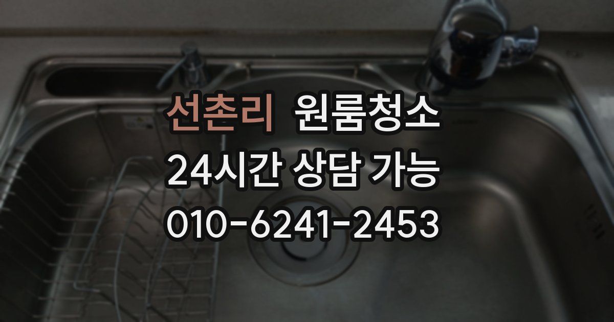 선촌리 입주청소