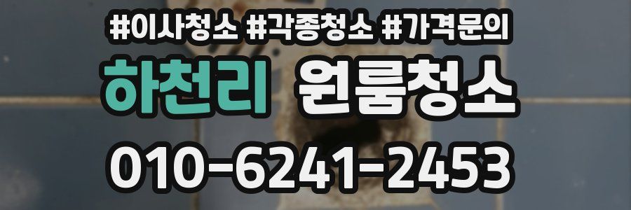 하천리 이사청소