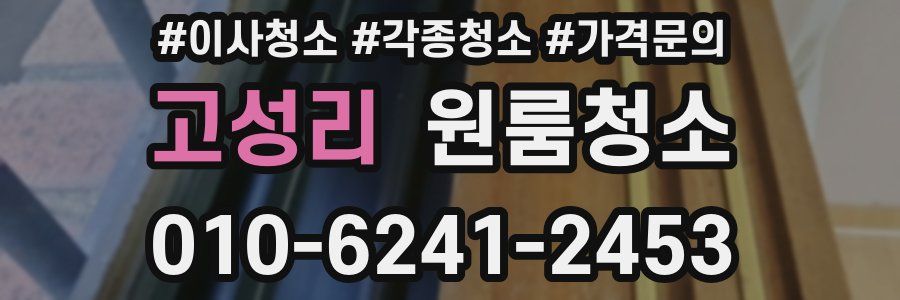 고성리 이사청소