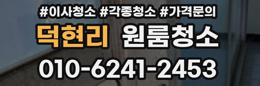 덕현리 이사청소