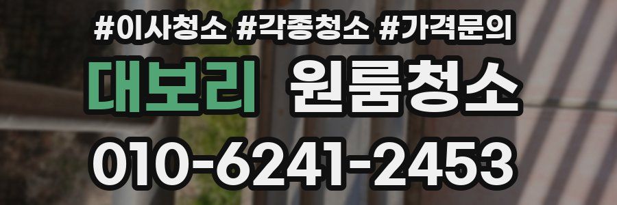 대보리 이사청소