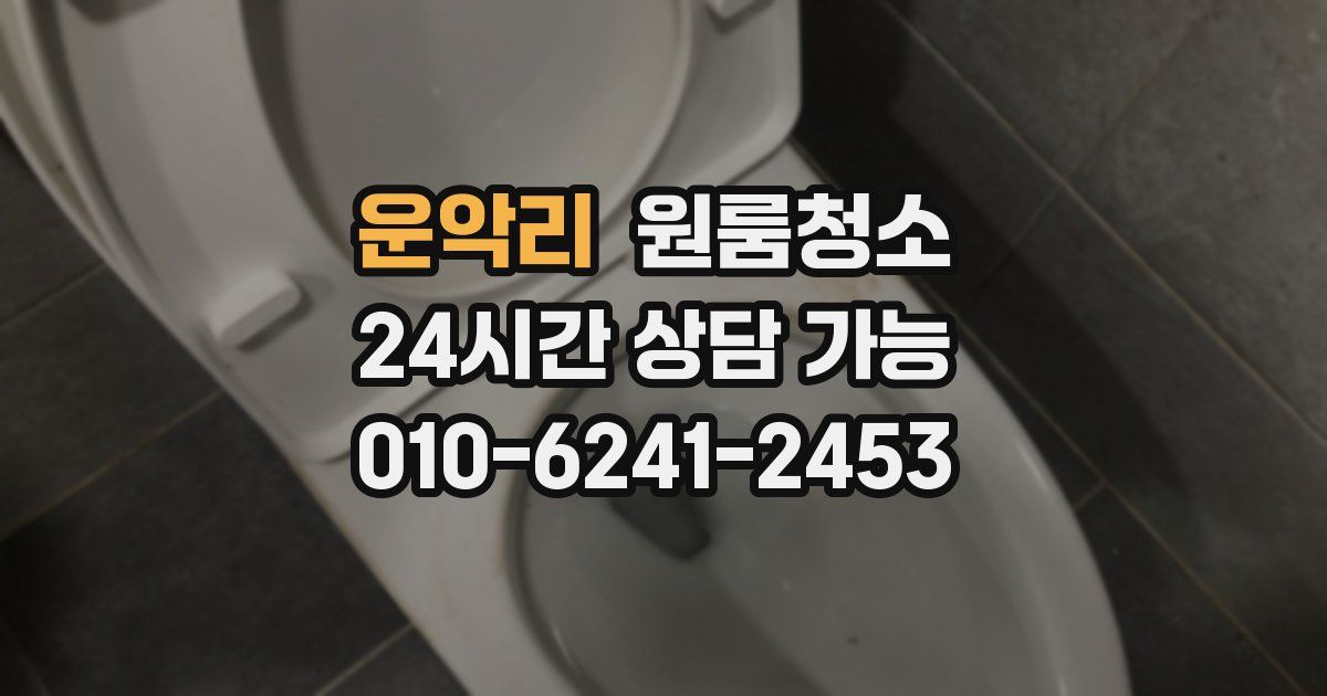 운악리 입주청소