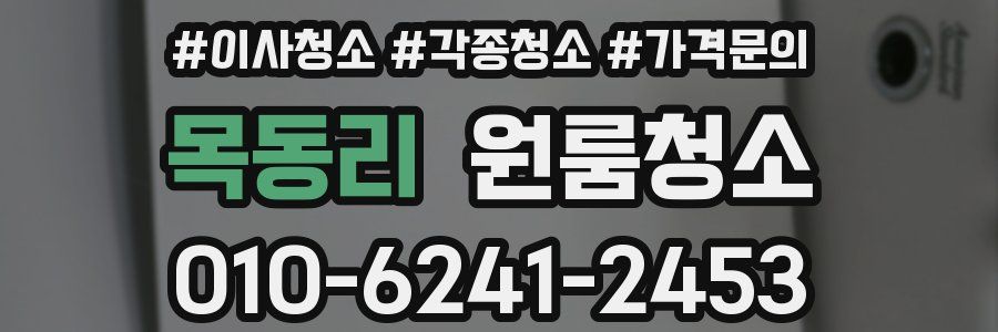 목동리 이사청소