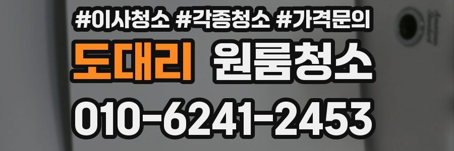 도대리 이사청소