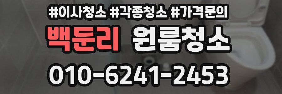 백둔리 이사청소