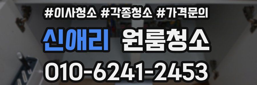 신애리 이사청소