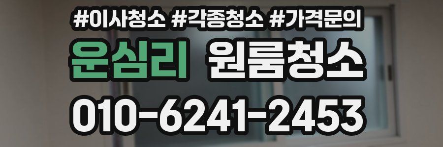 운심리 이사청소