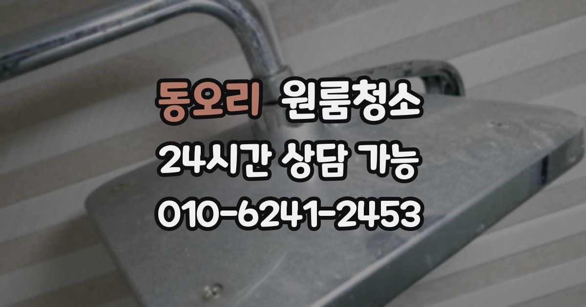 동오리 입주청소