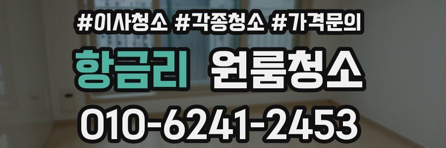 항금리 이사청소