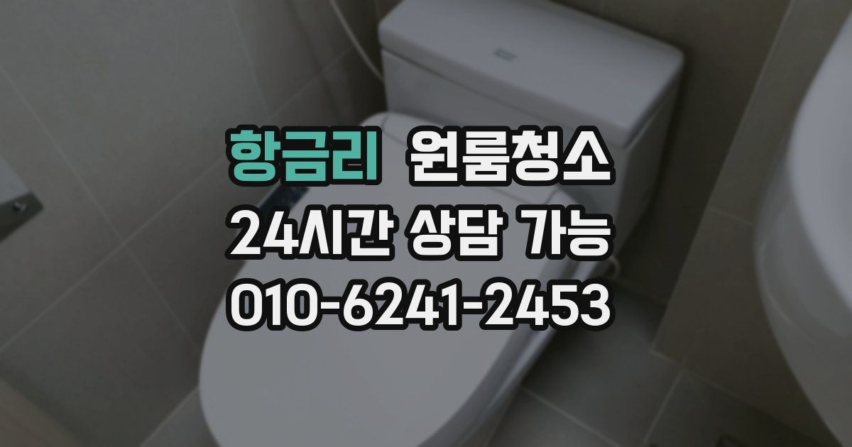 항금리 입주청소