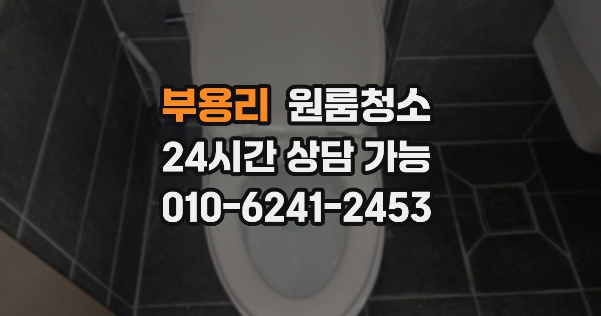 부용리 입주청소