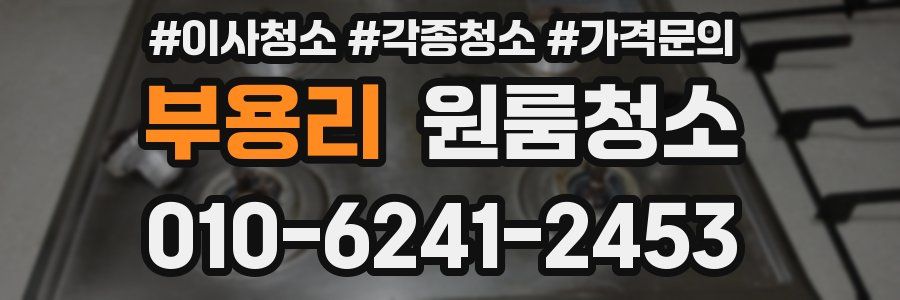 부용리 이사청소