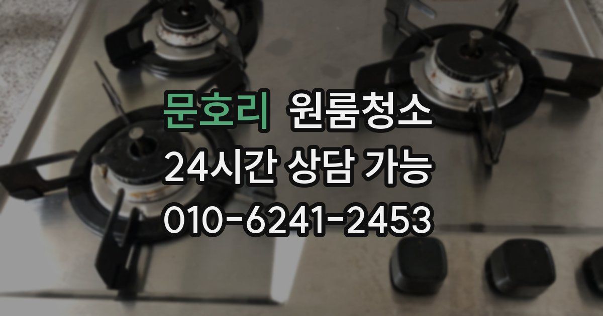 문호리 입주청소