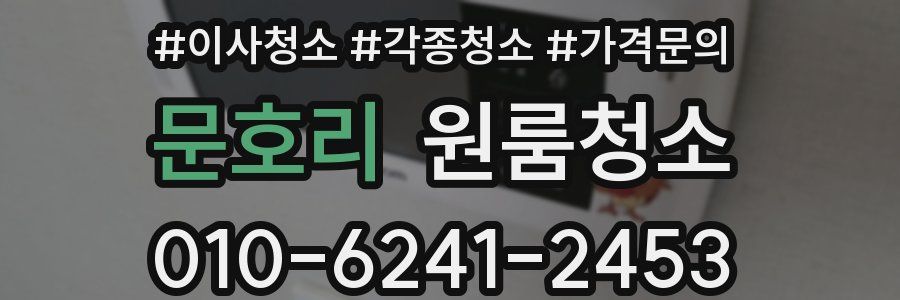 문호리 이사청소