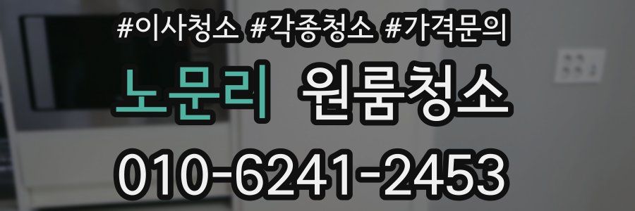 노문리 이사청소