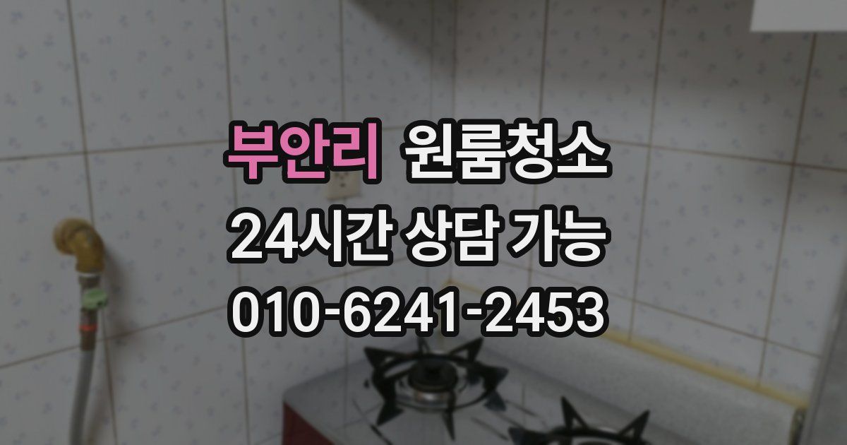 부안리 입주청소