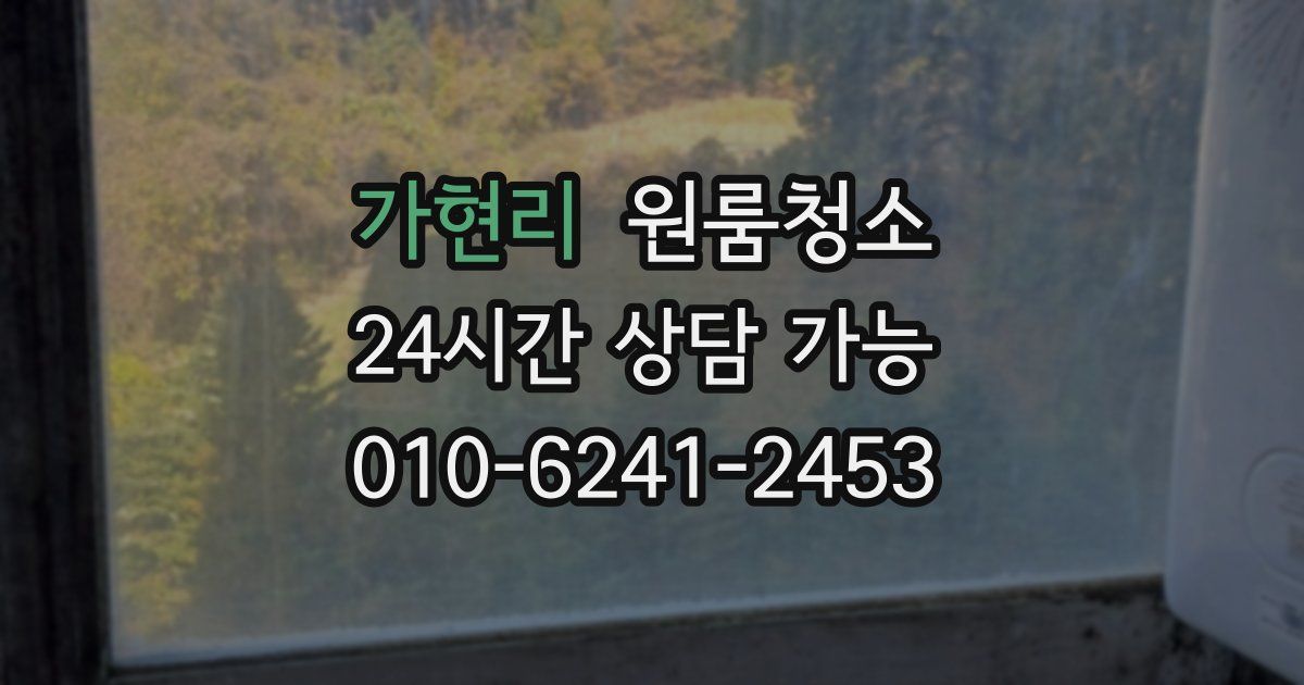 가현리 입주청소