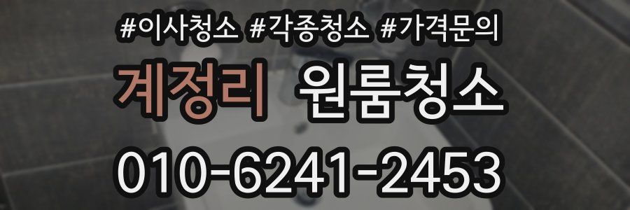 계정리 이사청소