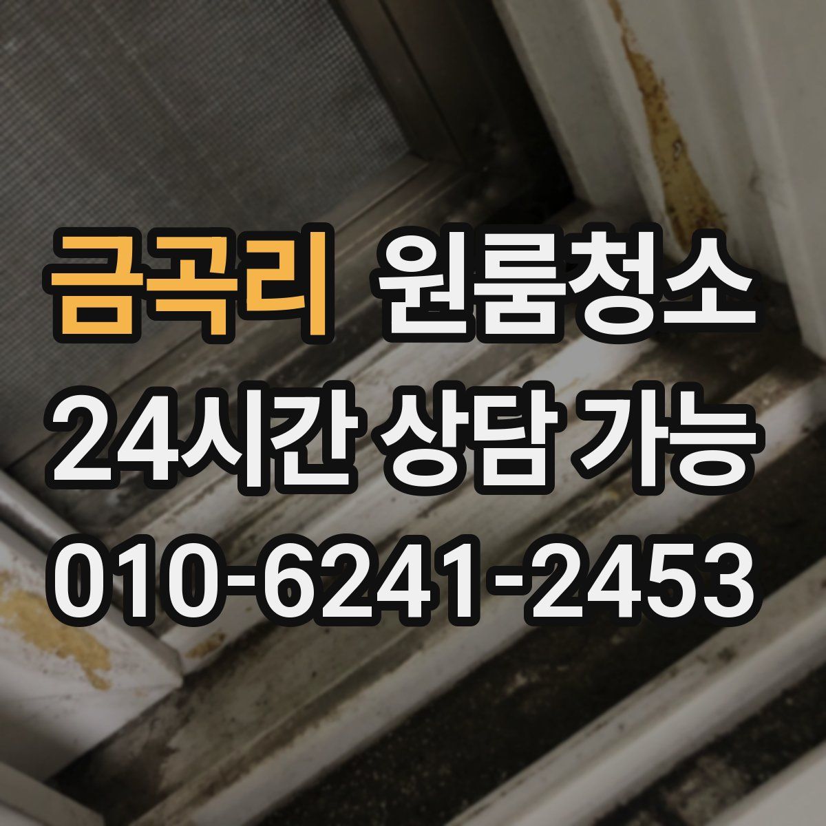 금곡리 원룸청소