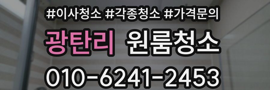 광탄리 이사청소