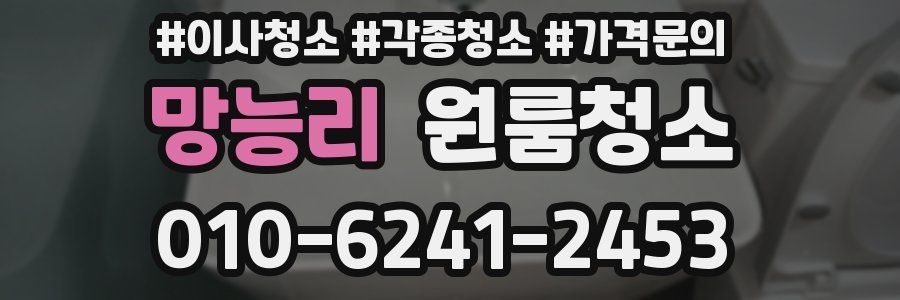 망능리 이사청소