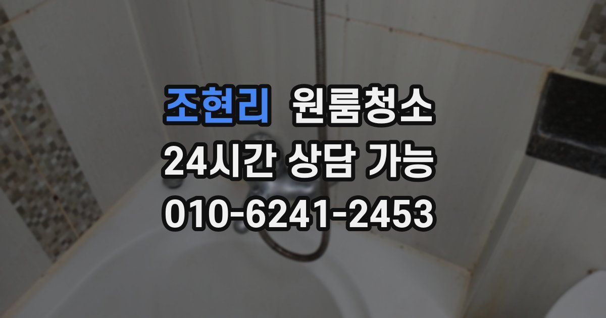 조현리 입주청소