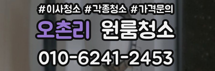 오촌리 이사청소